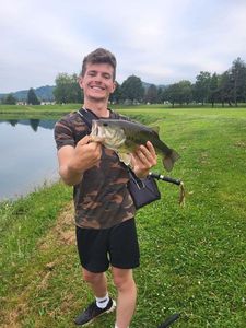 Largemouth Bass