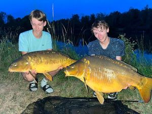 Mirror Carp