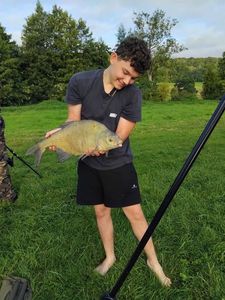 Common Bream