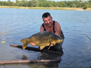 Mirror Carp