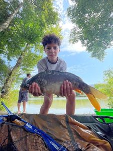 Mirror Carp