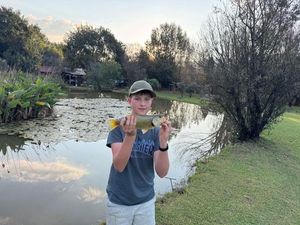 Smallmouth Bass