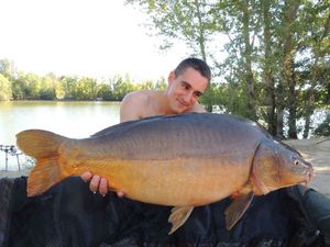 Leather Carp