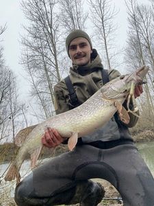 Northern Pike