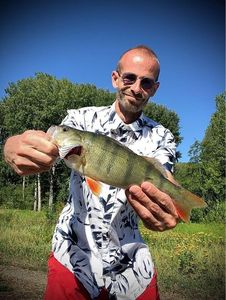 European Perch