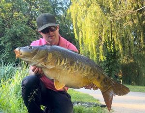 Mirror Carp