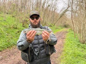 Rainbow Trout