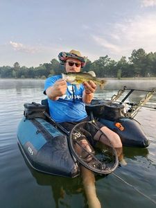 Largemouth Bass
