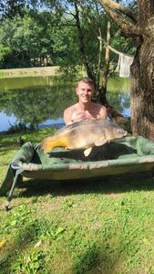 Mirror Carp