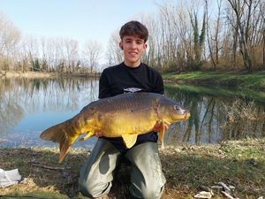 Mirror Carp