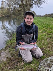 Rainbow Trout