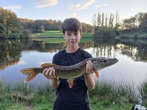Northern Pike