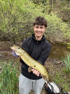 Northern Pike
