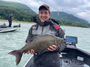 Common Bream