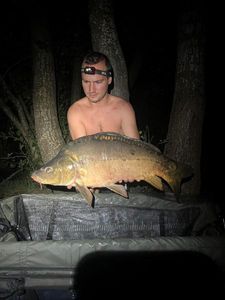 Mirror Carp