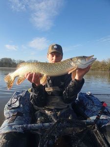 Northern Pike