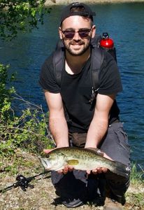 Largemouth Bass