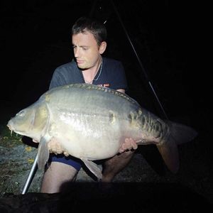 Mirror Carp