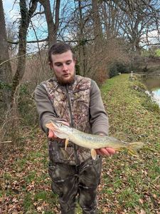 Northern Pike