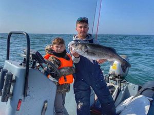 European Bass (Seabass)