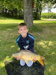 Common Carp