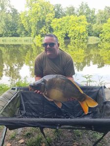 Mirror Carp