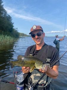 Largemouth Bass