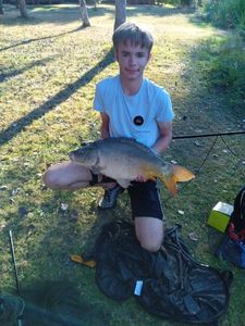 Mirror Carp