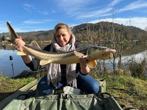 Sturgeon
