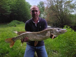 Northern Pike