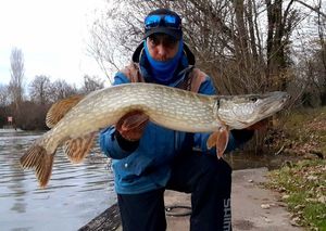 Northern Pike