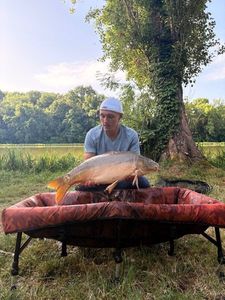 Leather Carp