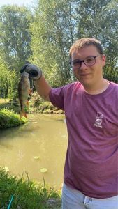 European Perch