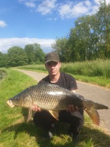 Common Carp