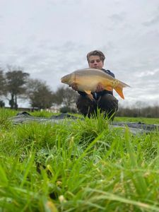 Mirror Carp