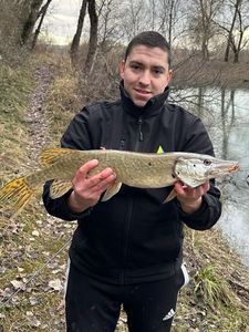 Northern Pike