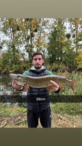 Northern Pike
