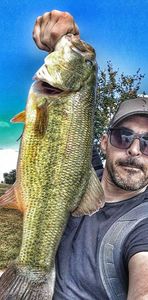 Largemouth Bass