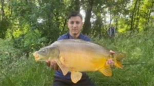 Mirror Carp
