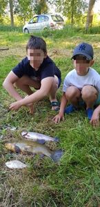 Rainbow Trout