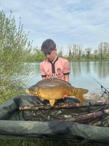 Mirror Carp