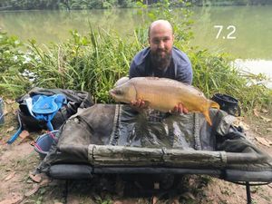 Mirror Carp