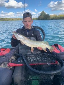 Northern Pike