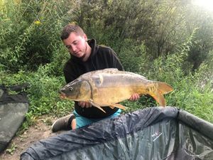 Mirror Carp