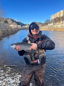 Rainbow Trout