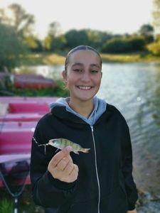 European Perch