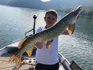 Northern Pike