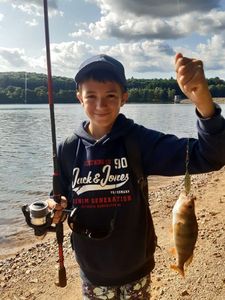 European Perch