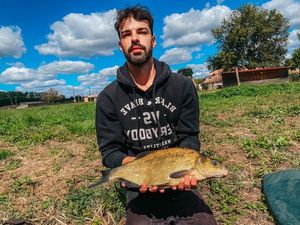 Common Bream