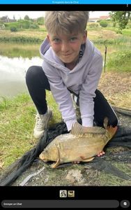Mirror Carp